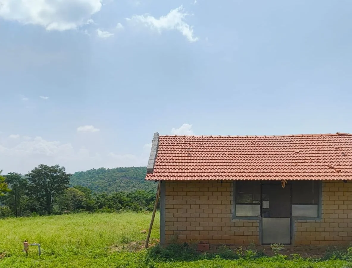 WhatsApp Image 2025-11-30 at 21.30.16.jpeg