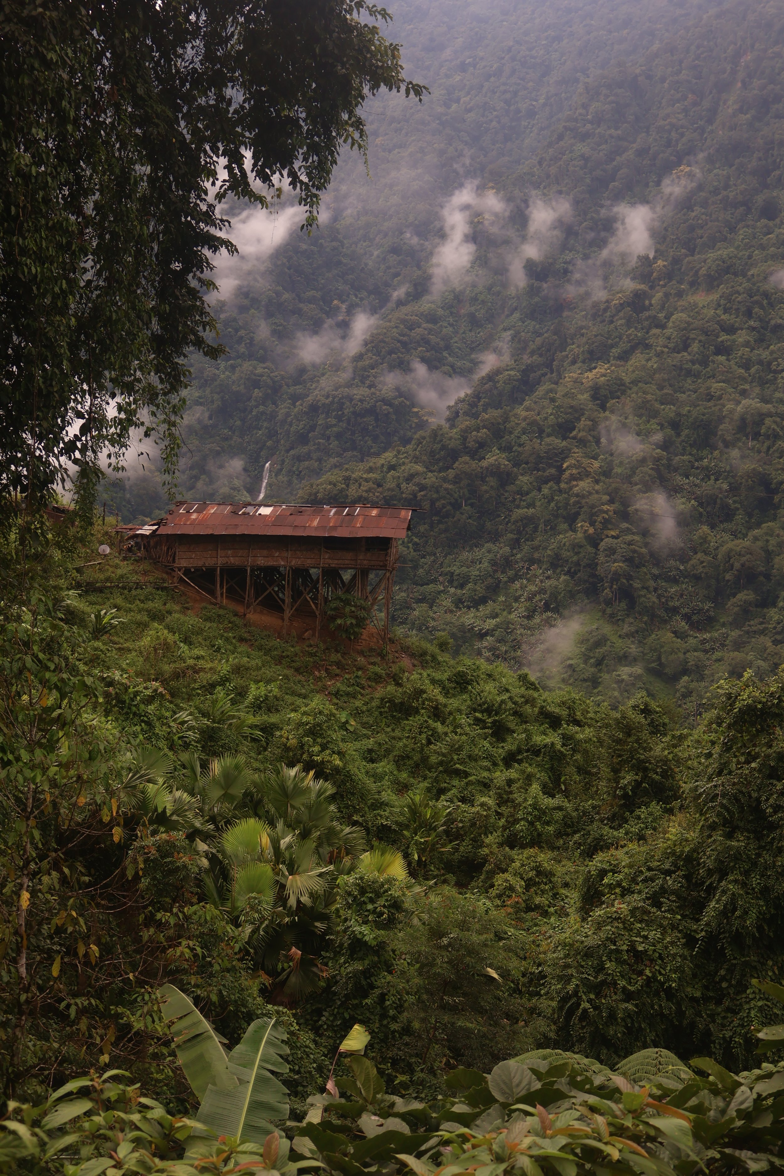 Tribal hamlet in the remote forests of Upper Subansiri, Upper Subansiri
