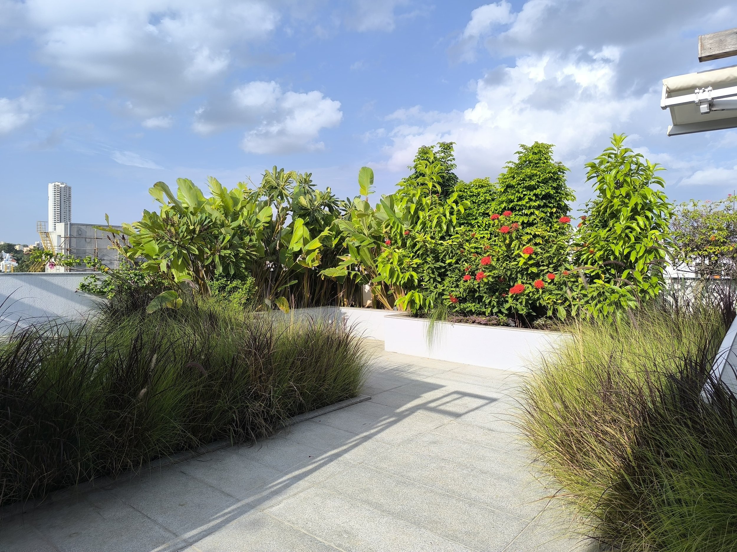 Terrace Garden @ Inde