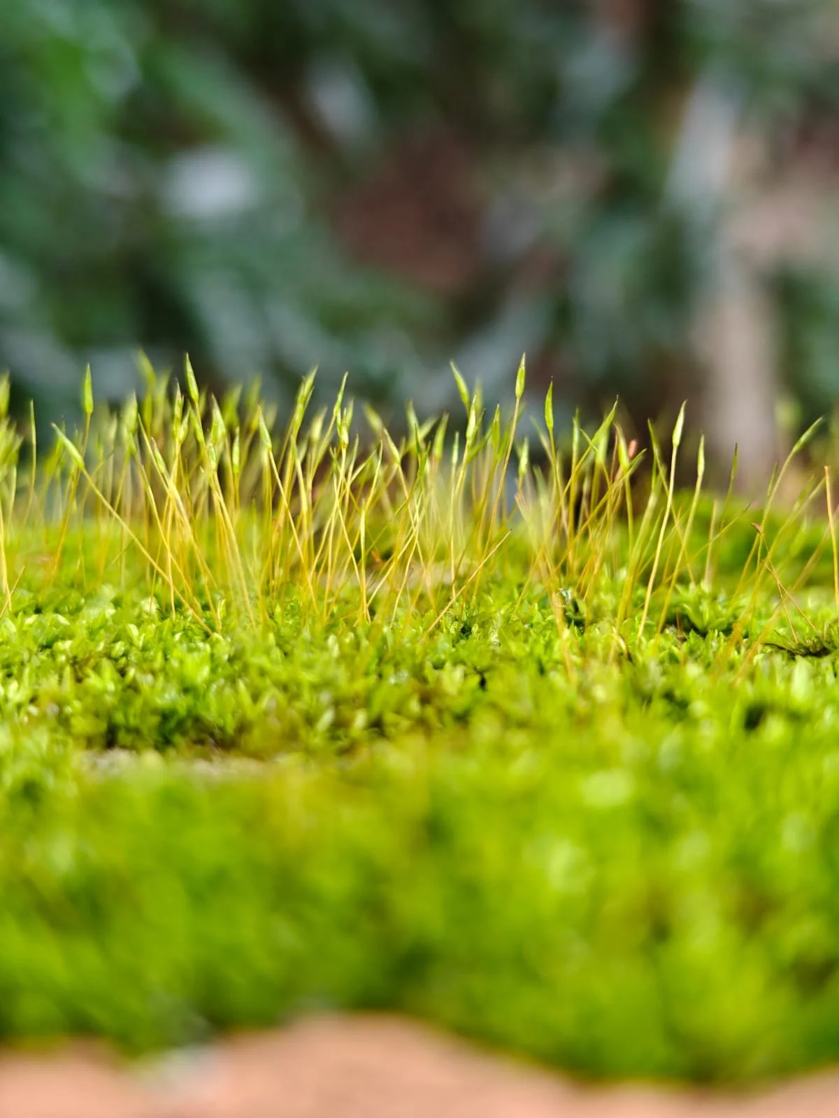 WhatsApp Image 2025-11-25 at 06.40.03_7ae4dc72.jpg