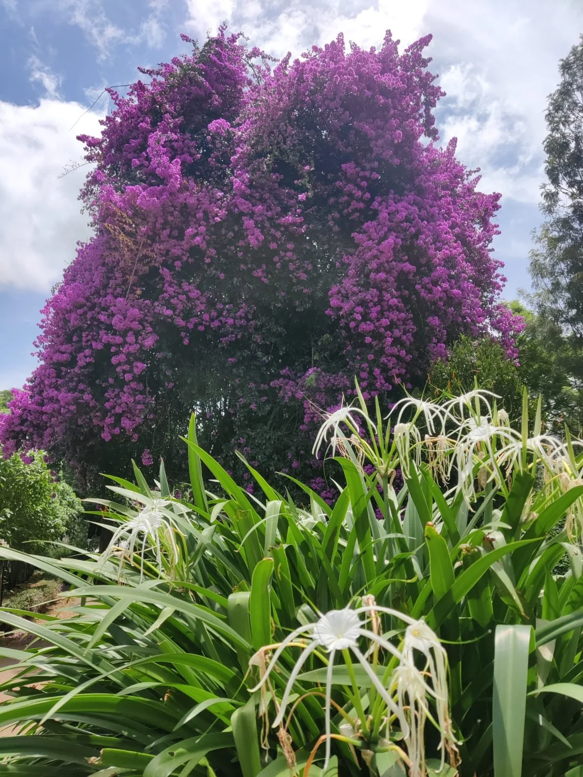 WhatsApp Image 2025-11-25 at 06.45.41_57f4f8ec.jpg