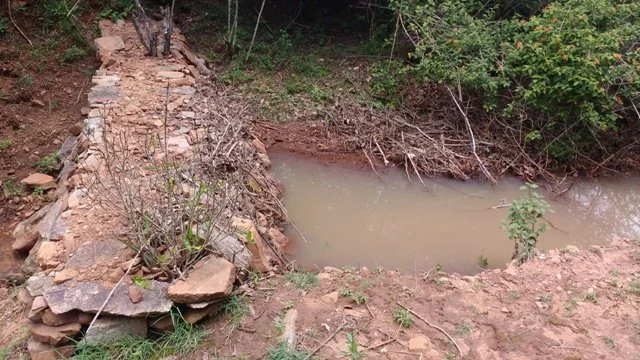 Critical water source for wildlife