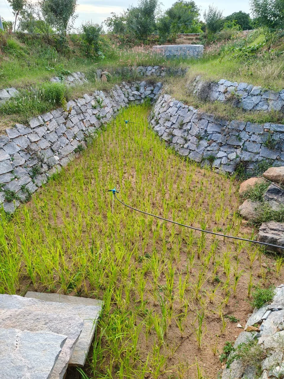 WhatsApp Image 2025-11-24 at 07.54.26_1a12bad2.jpg