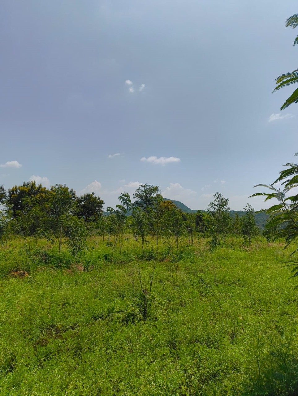 WhatsApp Image 2025-11-30 at 21.30.17.jpeg