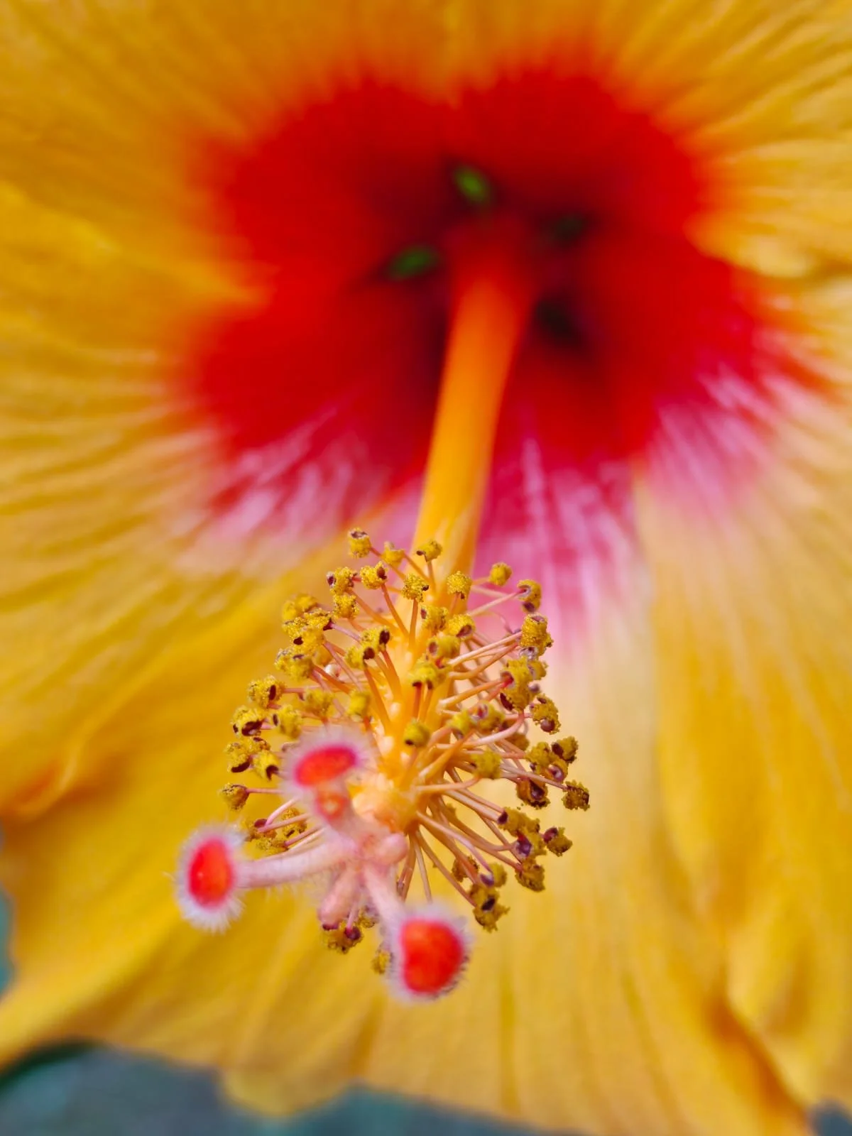 WhatsApp Image 2025-11-25 at 06.45.40_5b6dfc9b.jpg