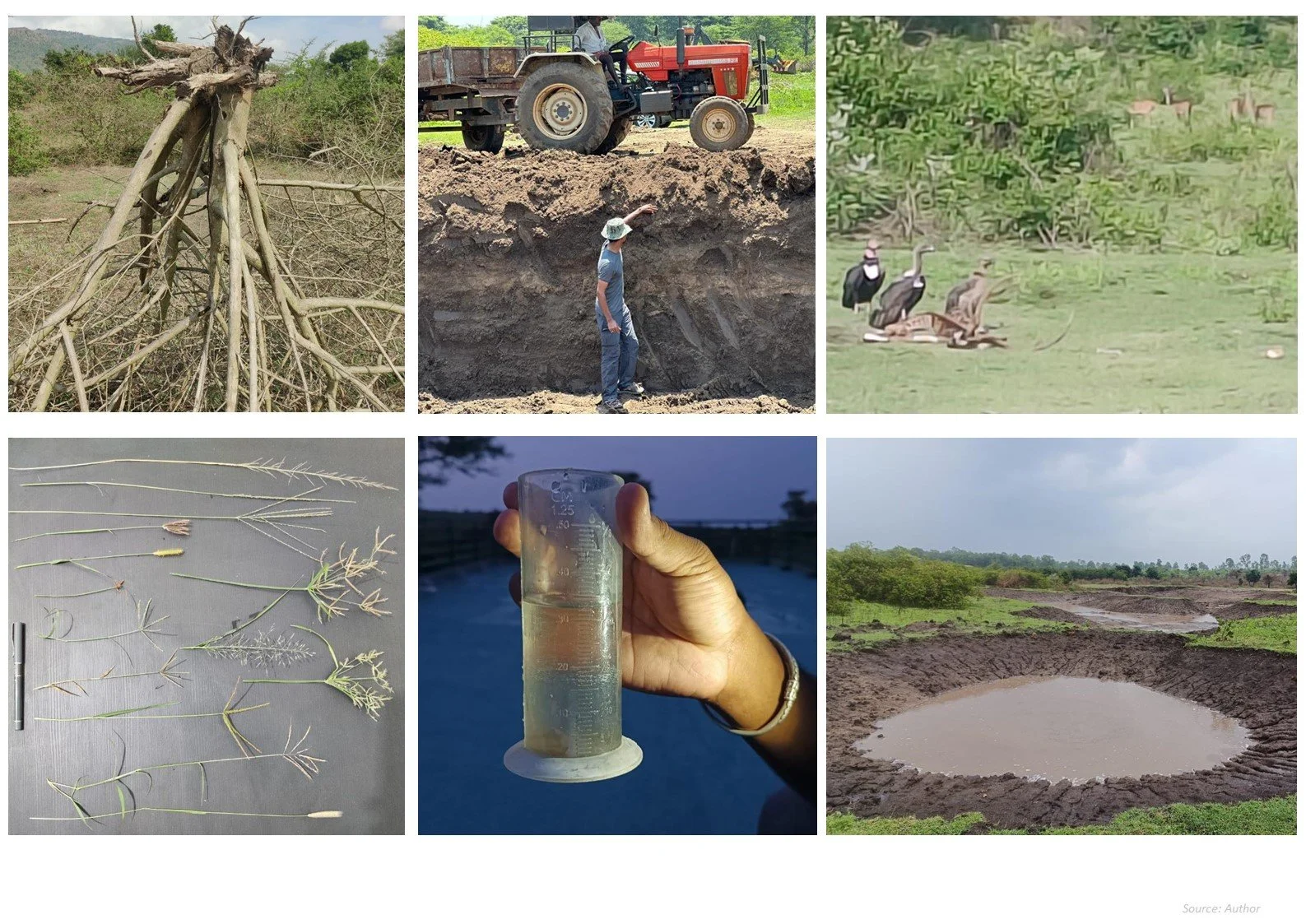 Documenting and monitoring the Restoration process