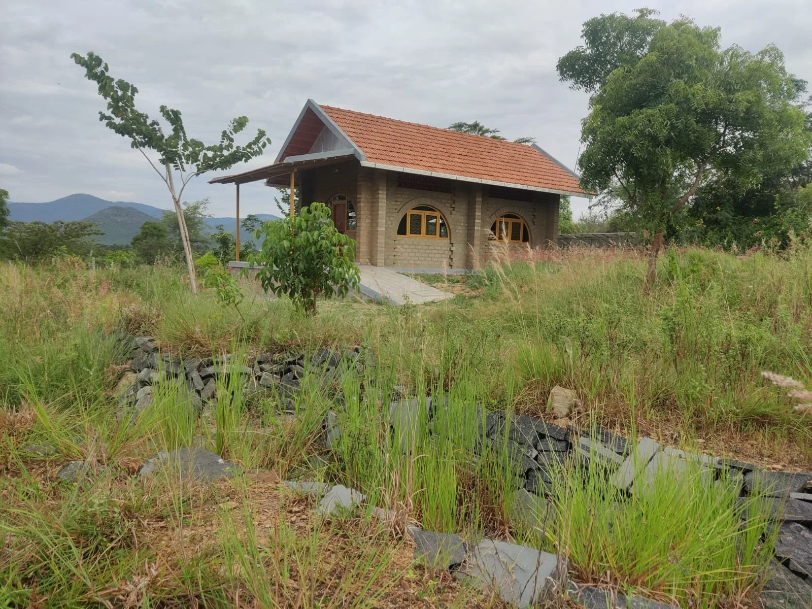 WhatsApp Image 2025-11-25 at 06.51.24_15f3d48c.jpg