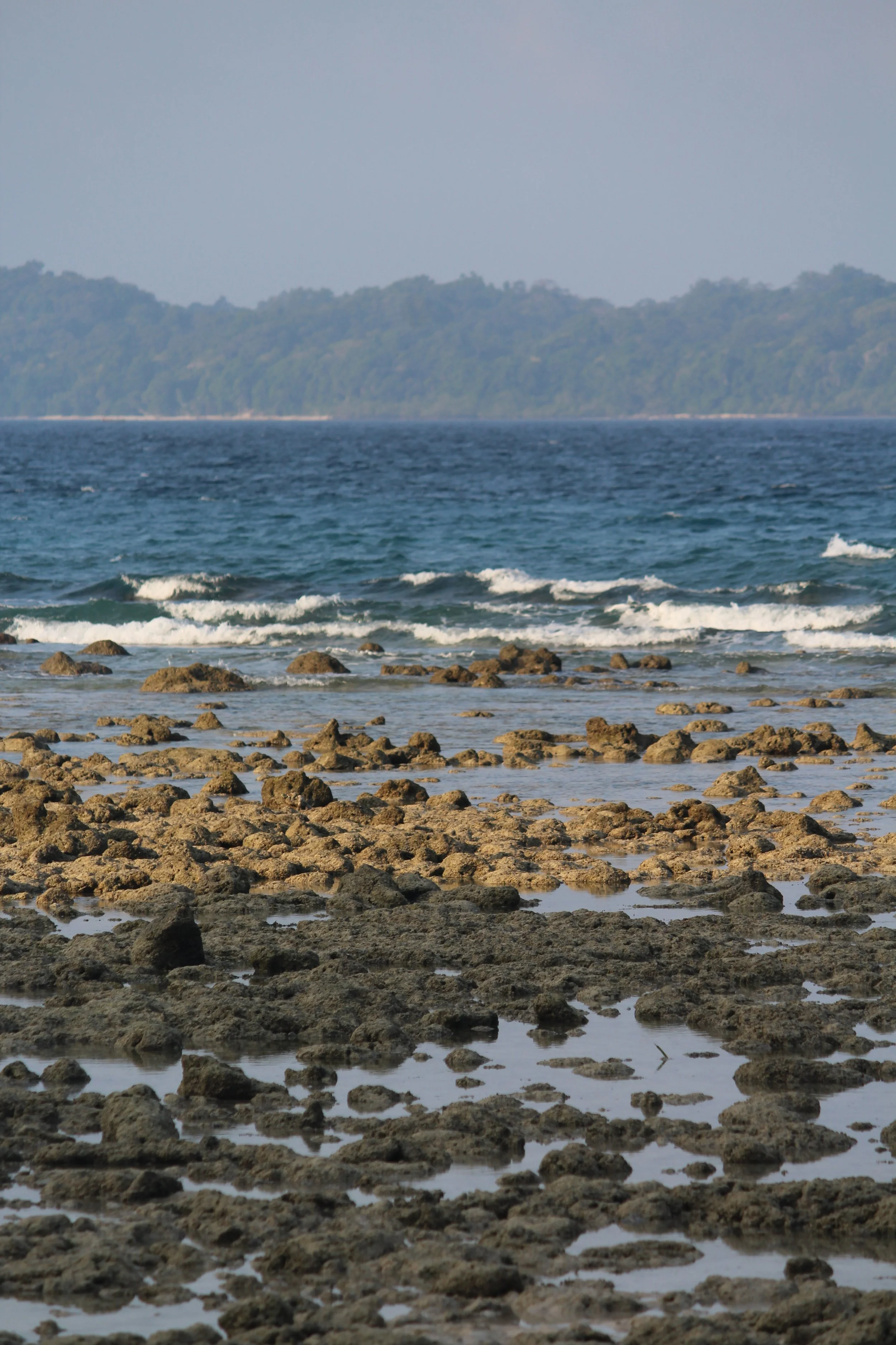 Coastal ecosystem Andaman Islands