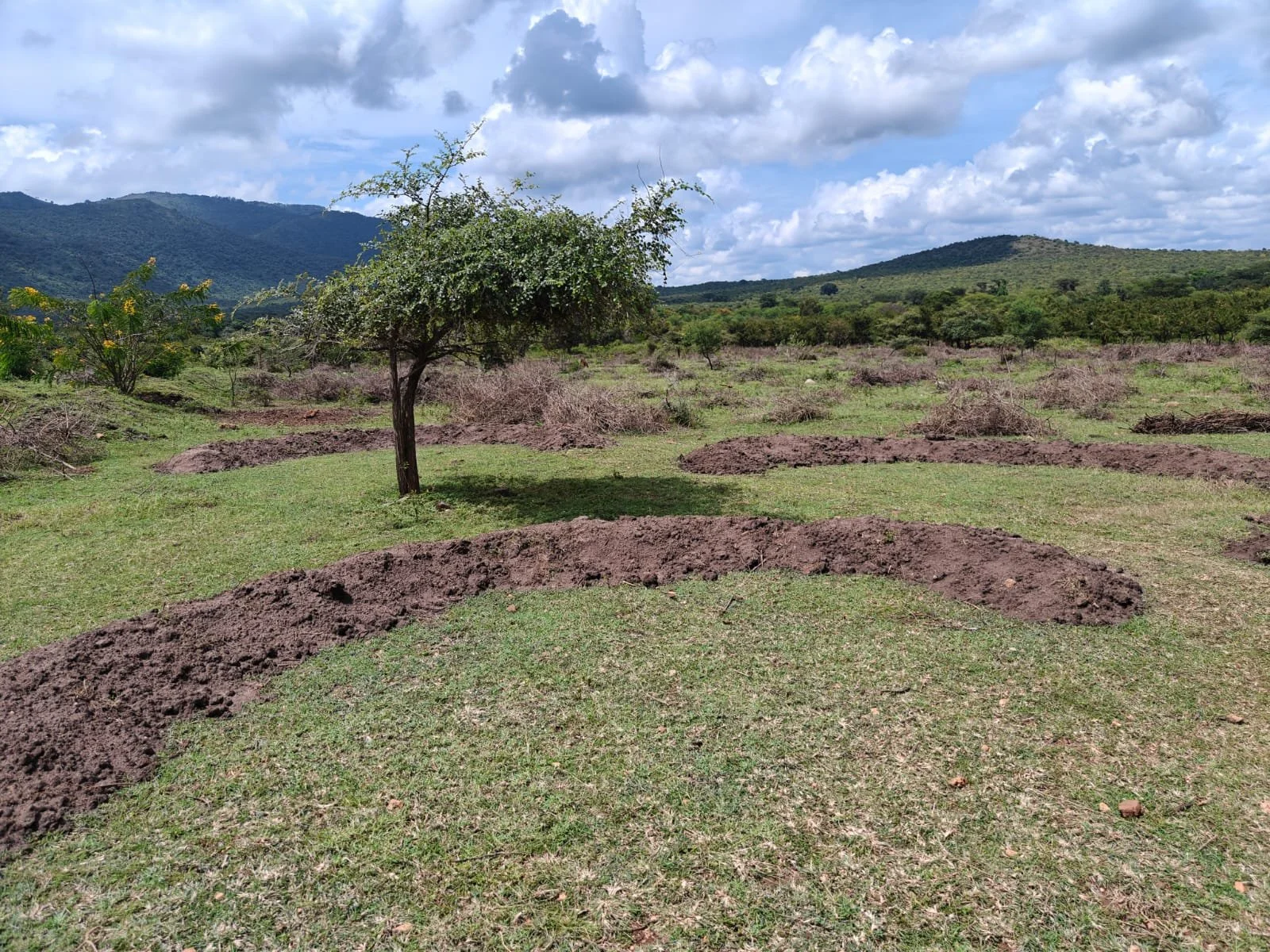 Implementation of soil and water conservation measures