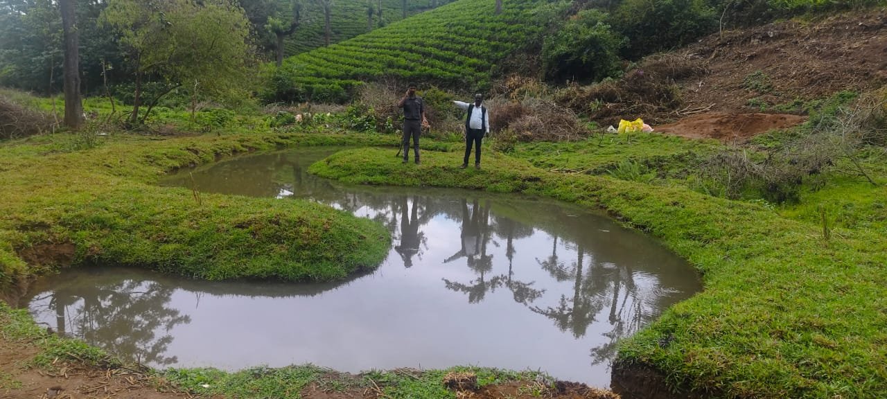 WhatsApp Image 2025-11-24 at 07.54.22_a97360fe.jpg