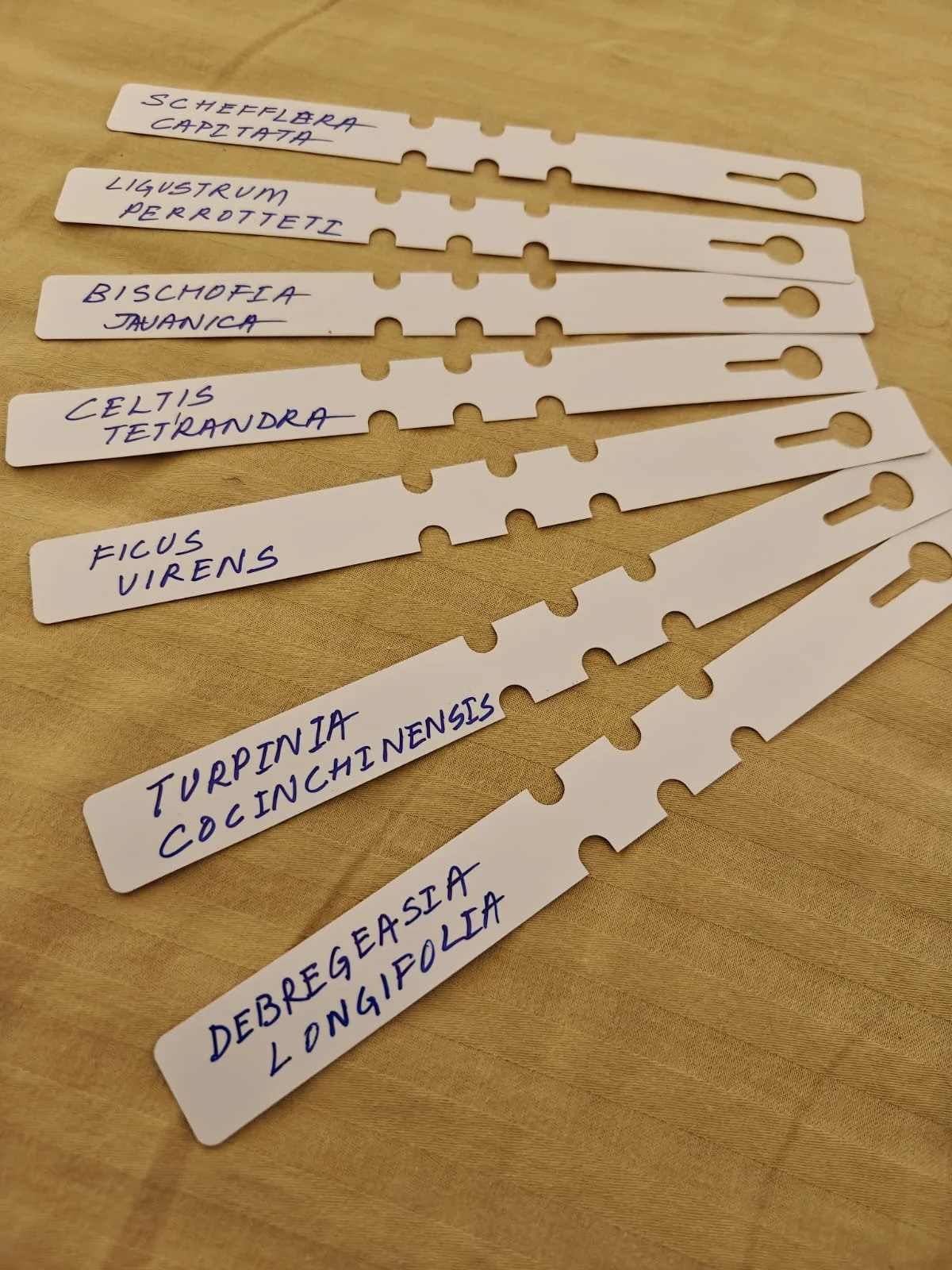 WhatsApp Image 2025-11-24 at 07.54.25_df582b2f.jpg