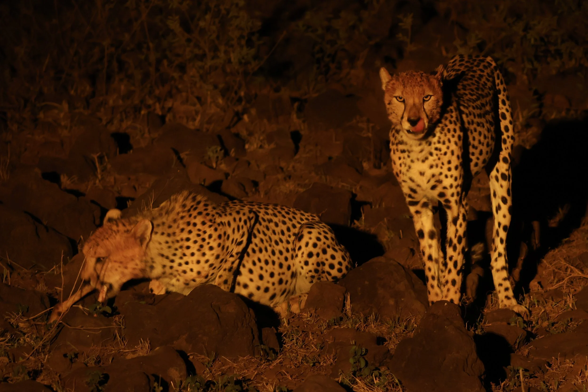 Amboseli National Park