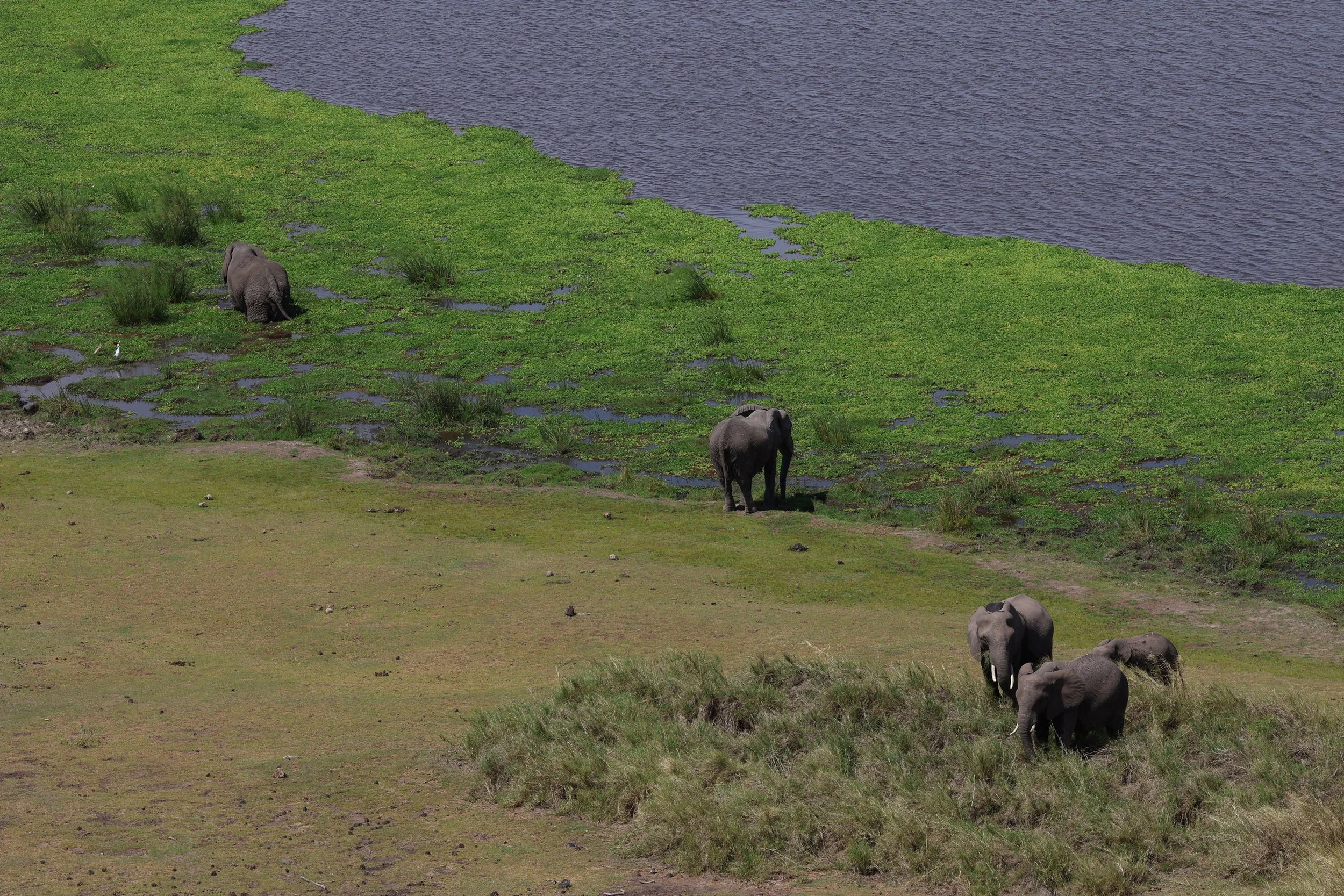 Amboseli National Park