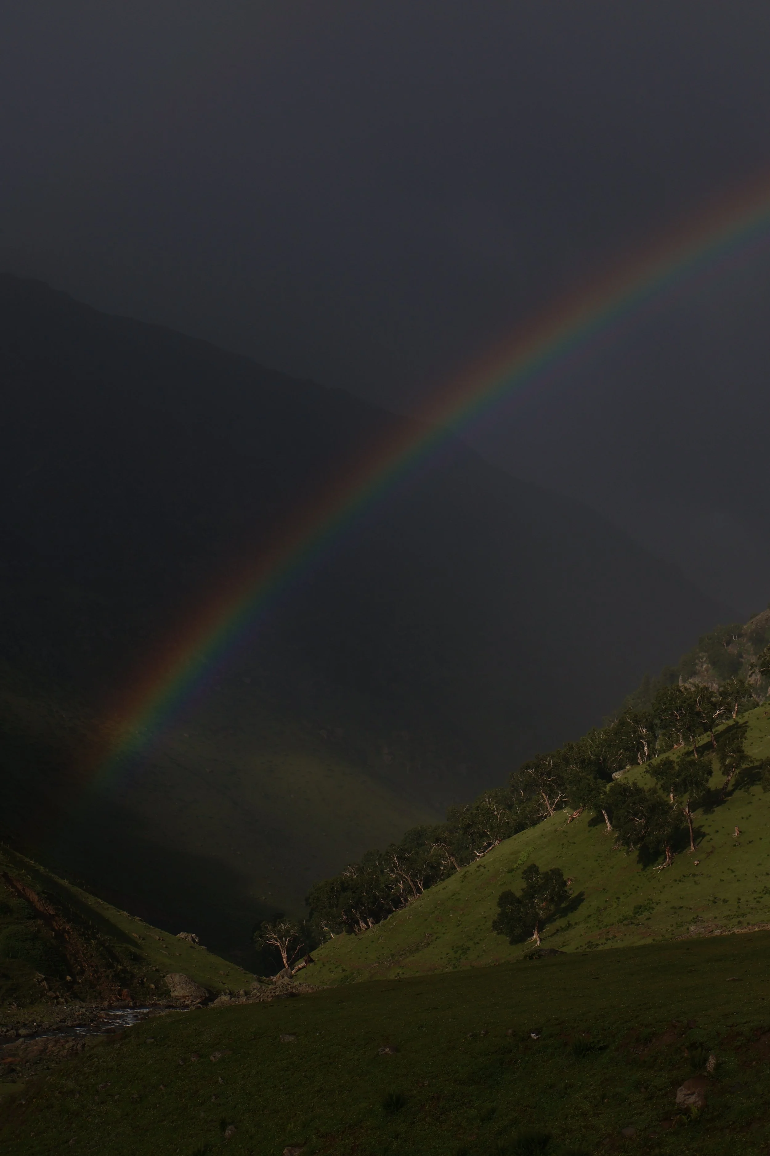 Alpine meadow's of Tarsar Marsar landscape, Kashmir 