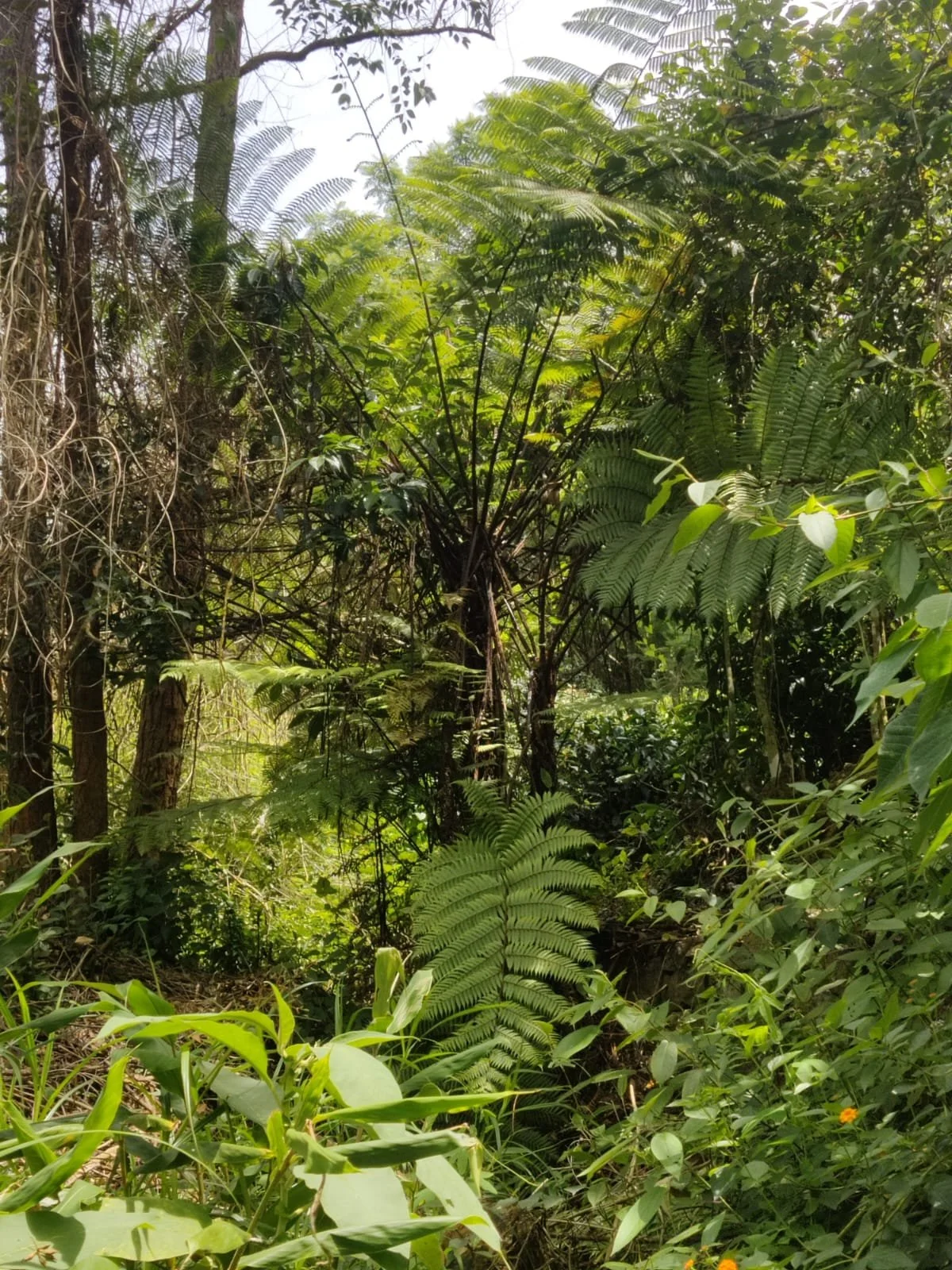 WhatsApp Image 2025-11-24 at 07.54.21_fdf87727.jpg