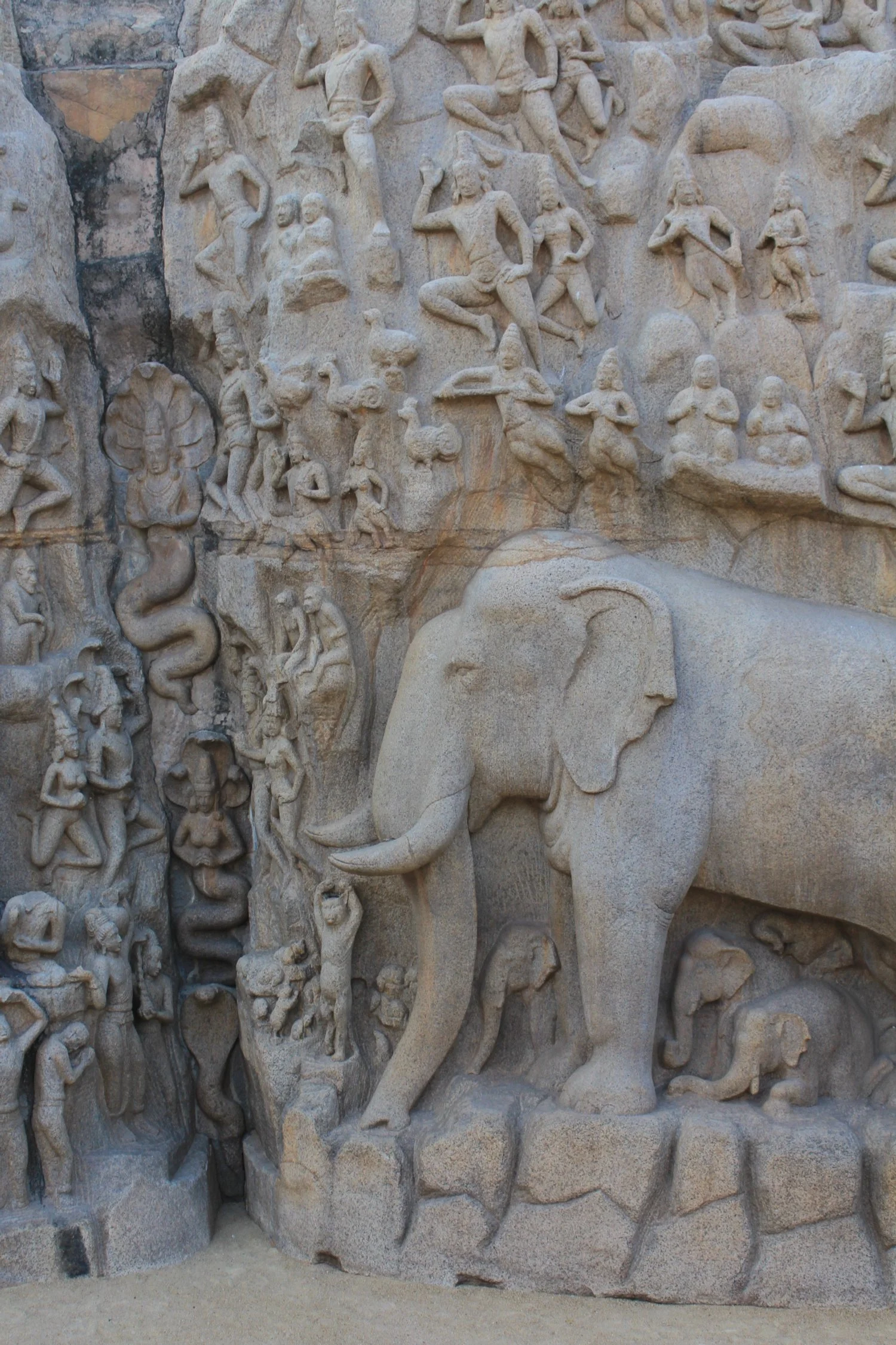 Elephants of Cholas