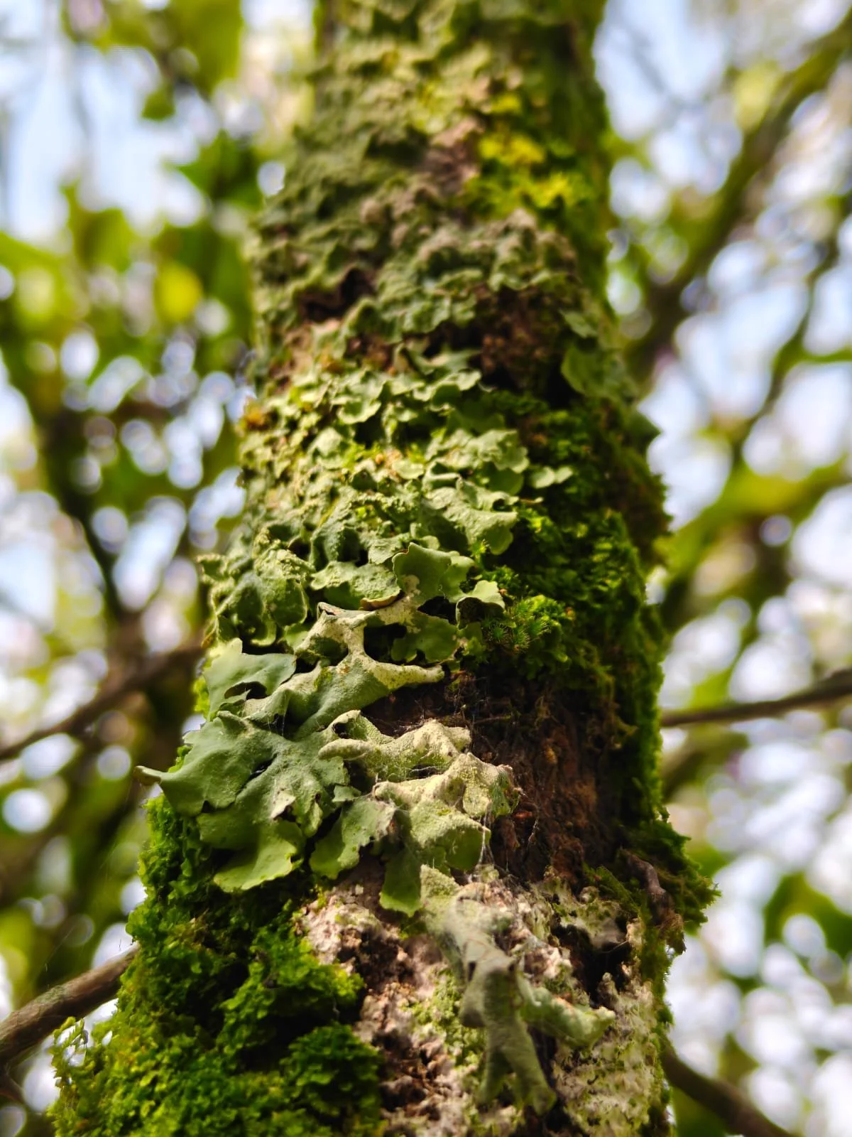 WhatsApp Image 2025-11-25 at 06.31.55_909f42e4.jpg