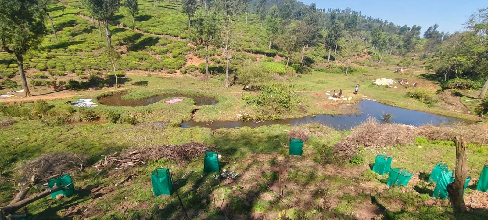 A network of hill wetlands and swamps