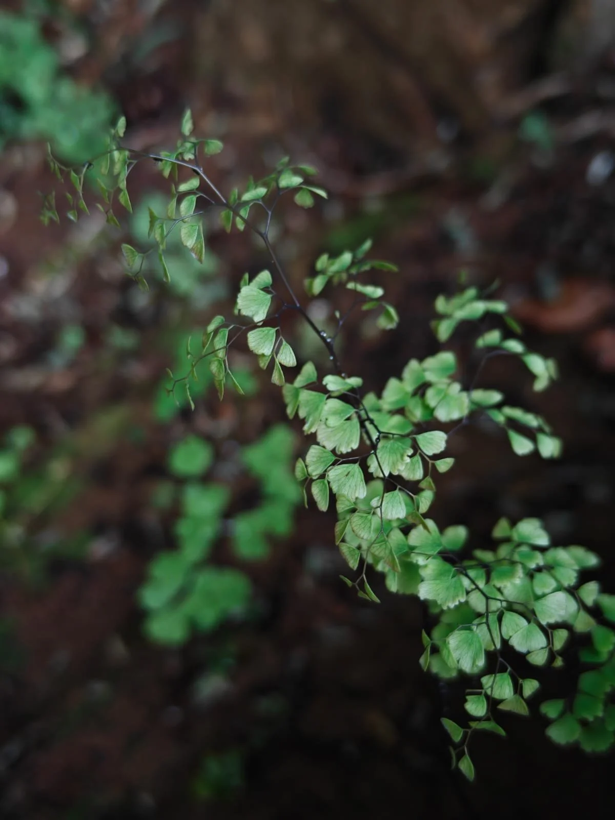 WhatsApp Image 2025-11-25 at 06.45.39_e14410e5.jpg