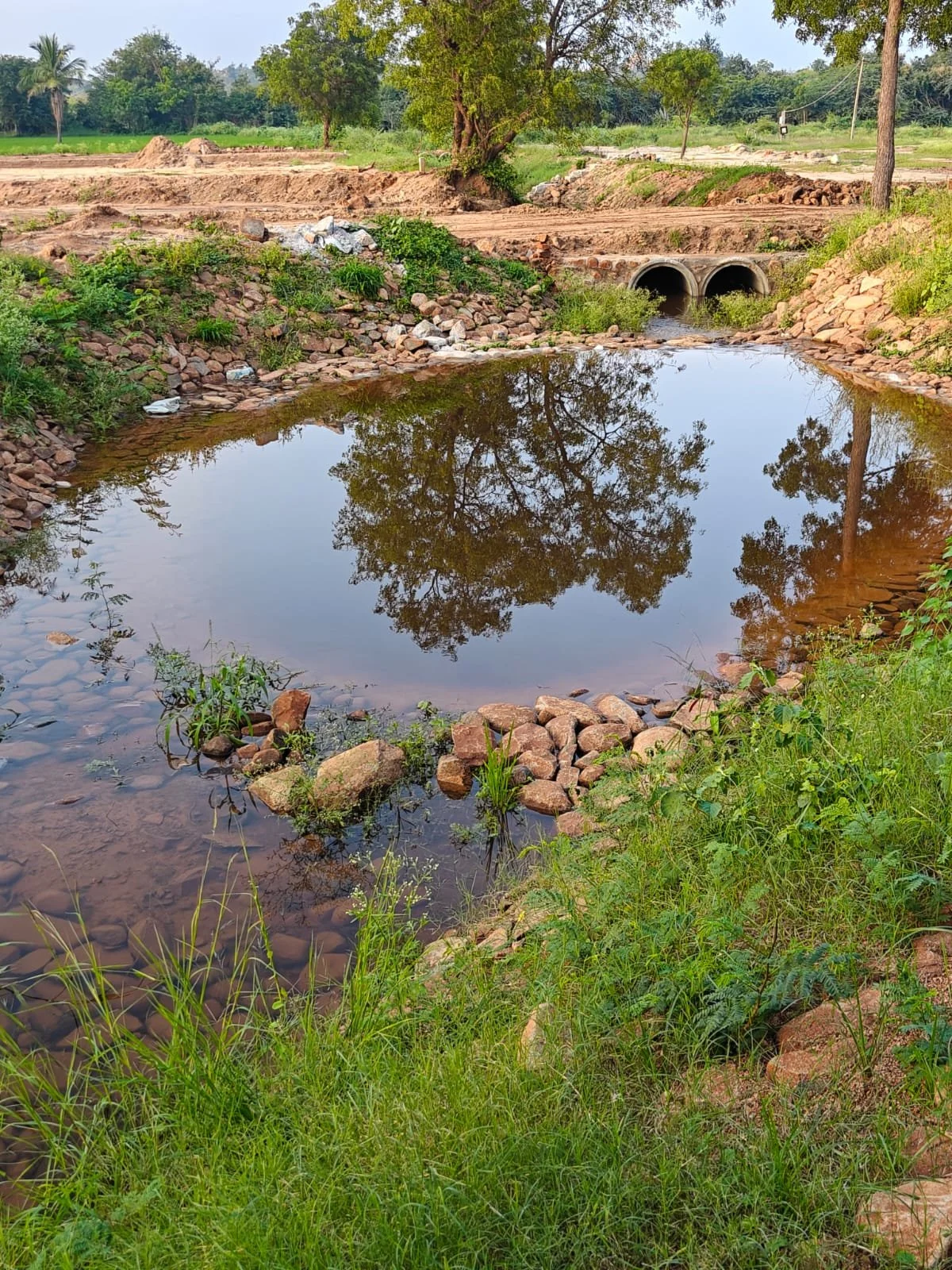 WhatsApp Image 2025-11-24 at 07.54.25_0882a9d1.jpg