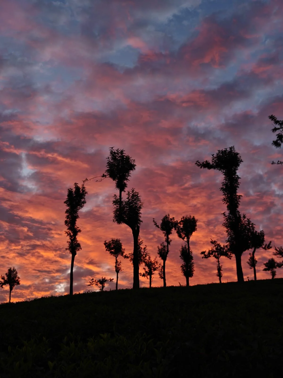 WhatsApp Image 2025-11-25 at 06.32.29_d81f2a3c.jpg