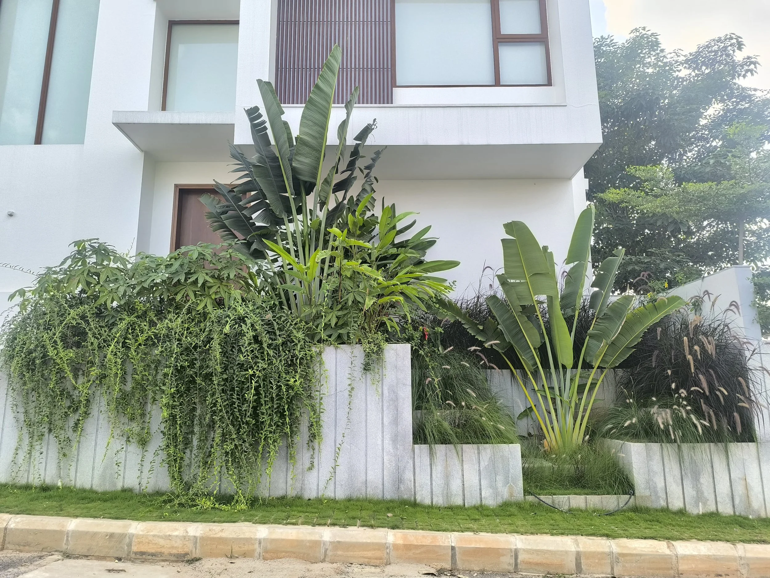 WhatsApp Image 2025-11-24 at 07.54.23_17448d07.jpg