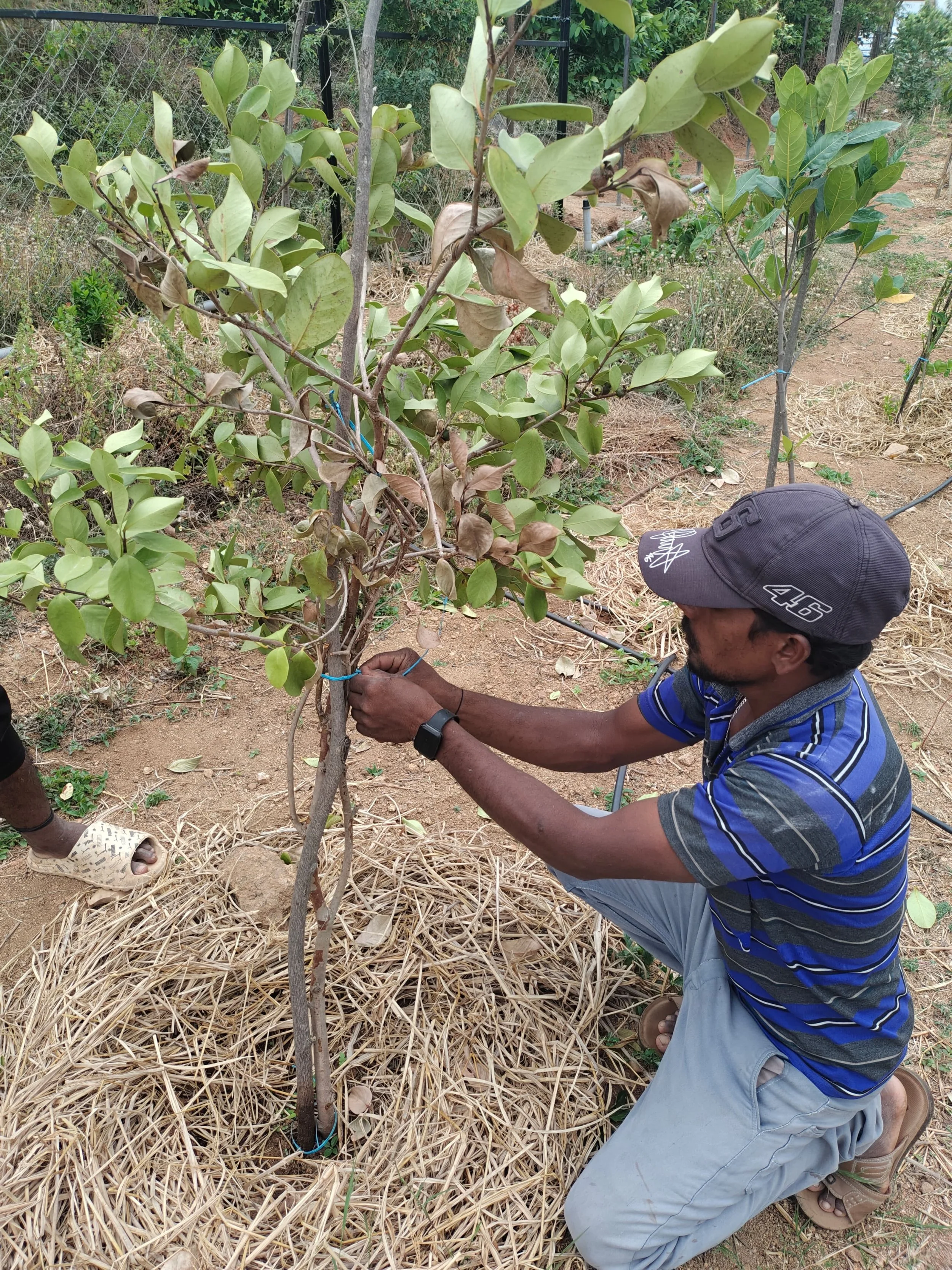 WhatsApp Image 2025-11-24 at 07.54.22_db126eea.jpg