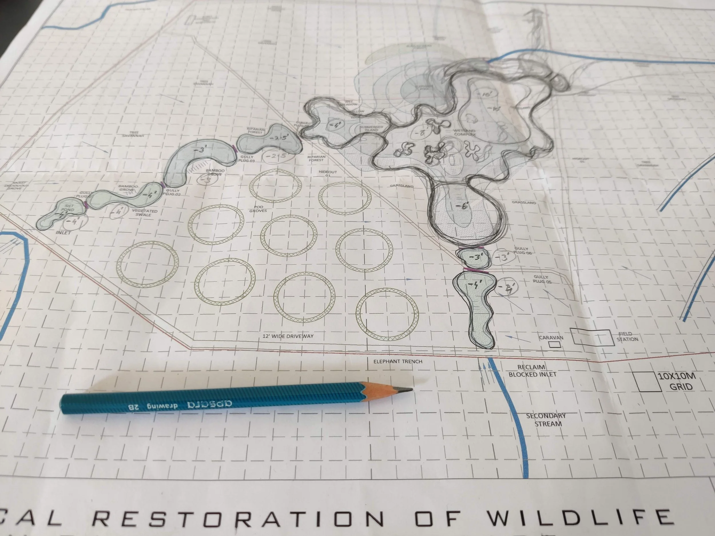 Formulating the site-specific restoration plan