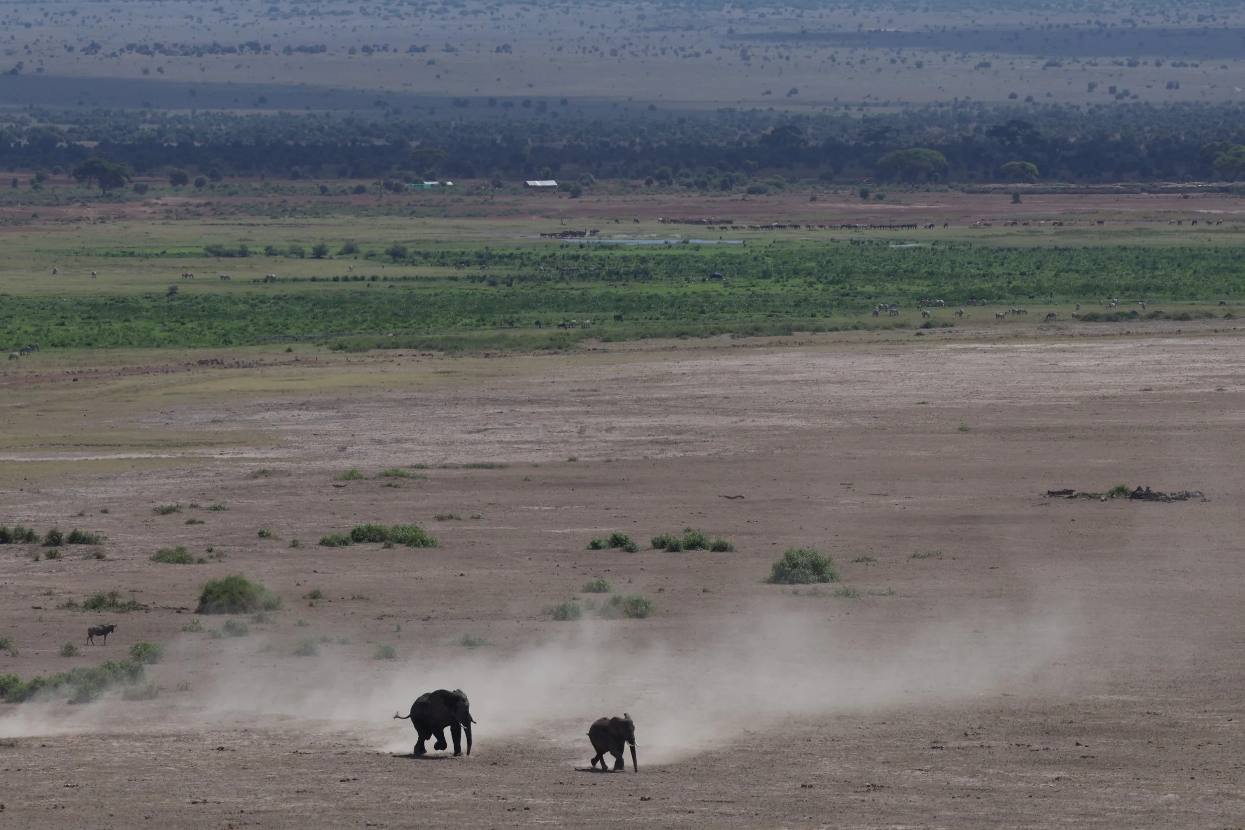 Amboseli National Park