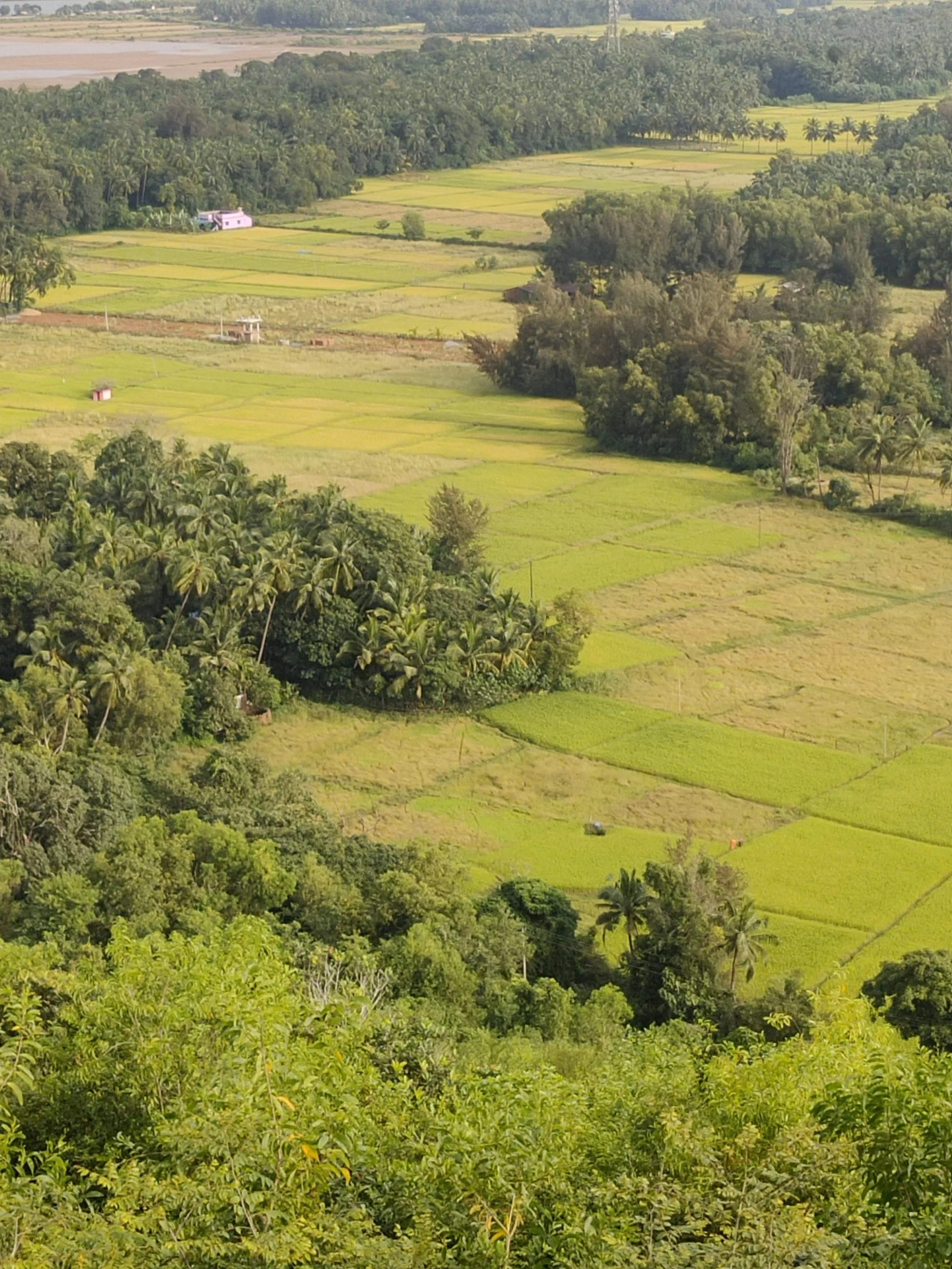 Coastal Landscape of Kumta