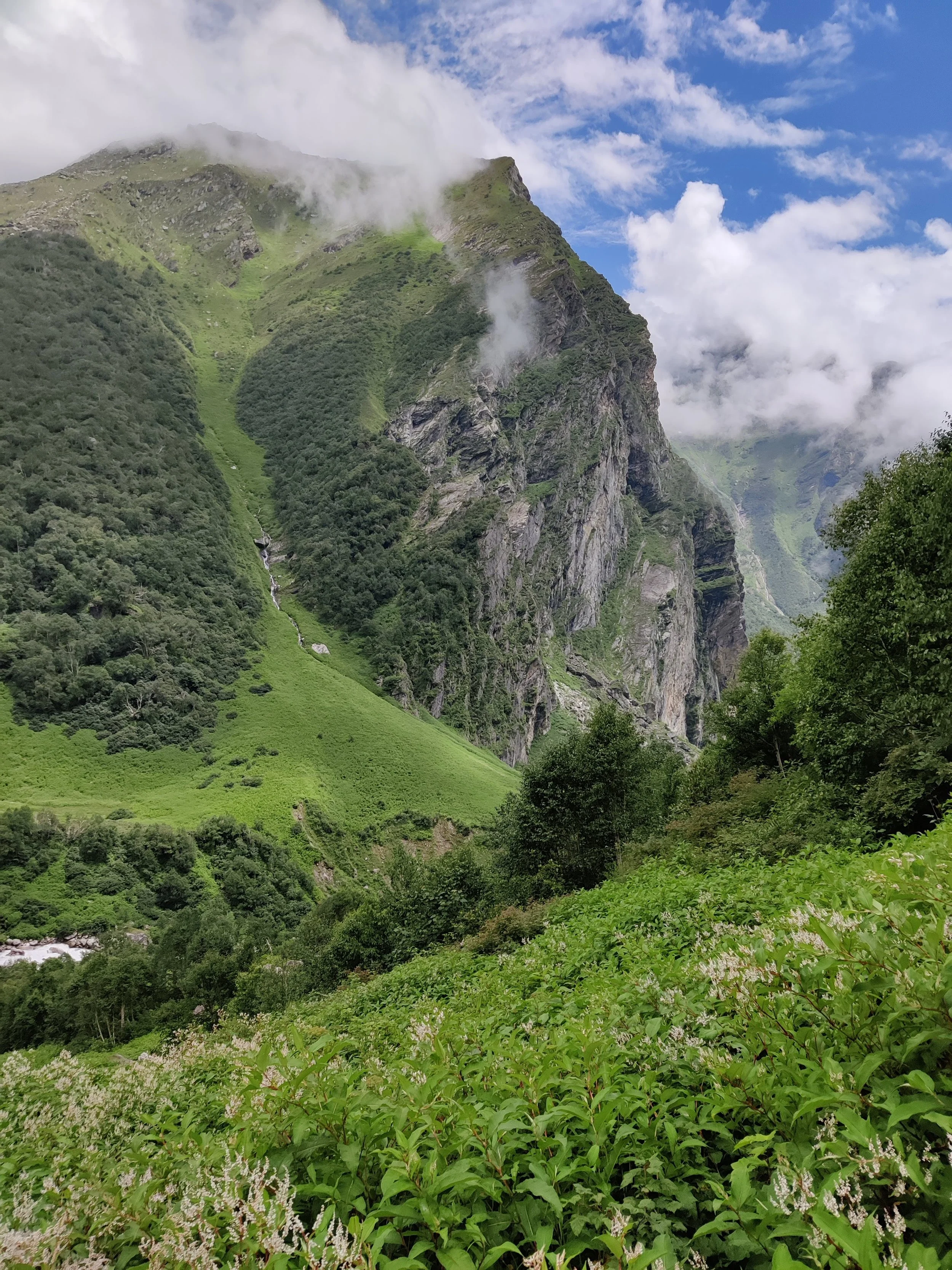 Valley of Flowers- UNESCO WHS