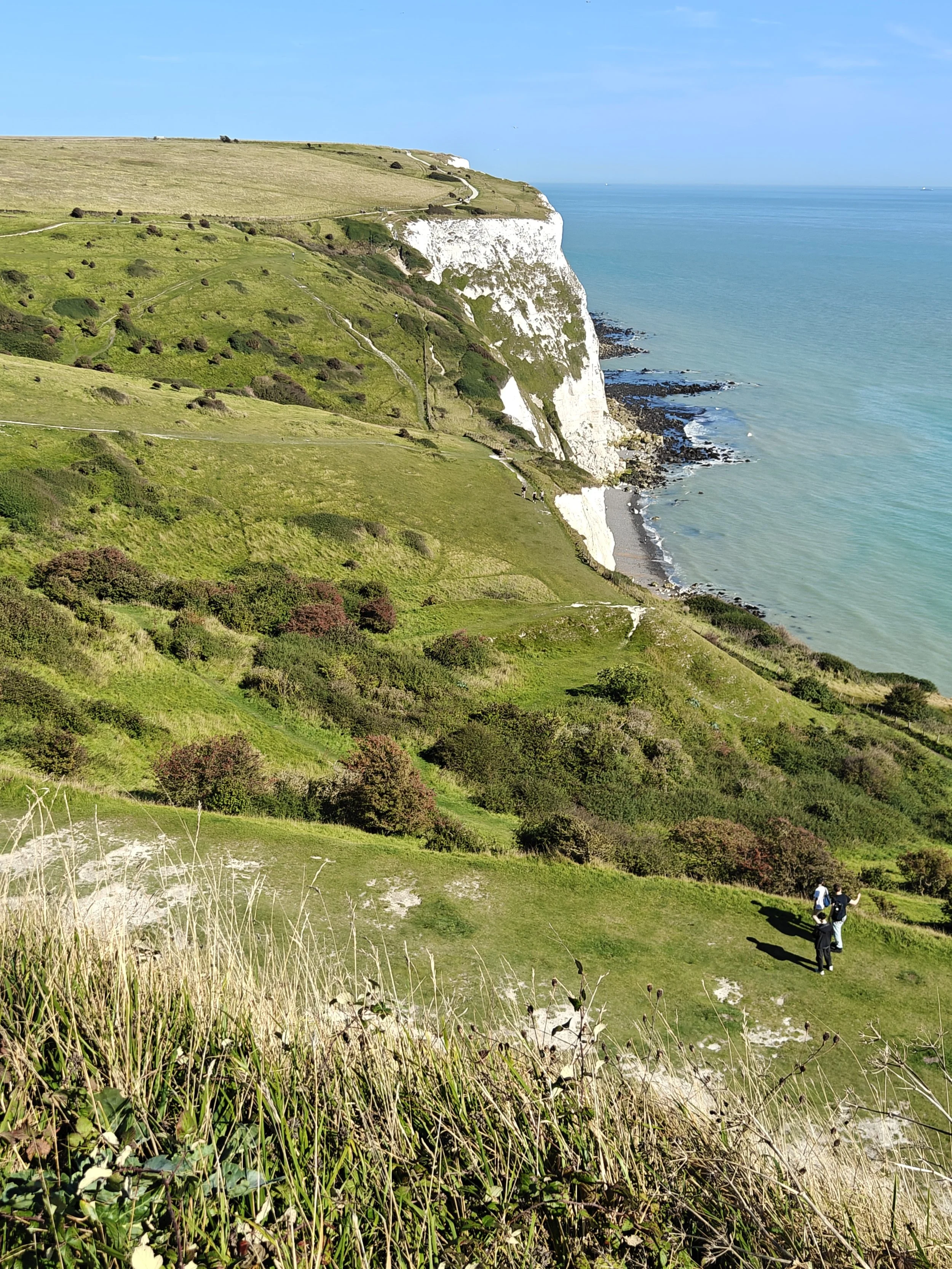 White Cliff of Dover