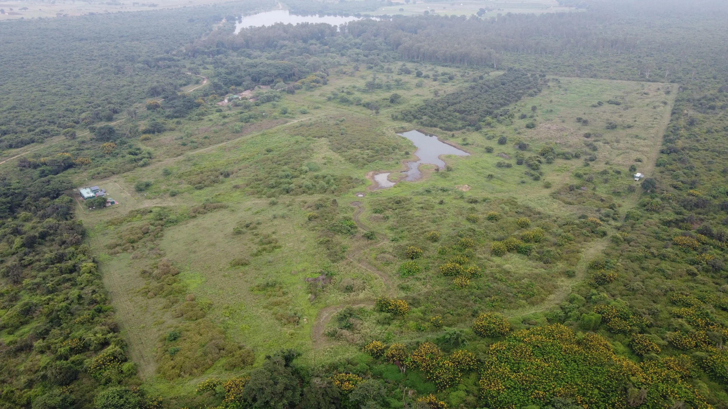Site under restoration activities following the monsoon
