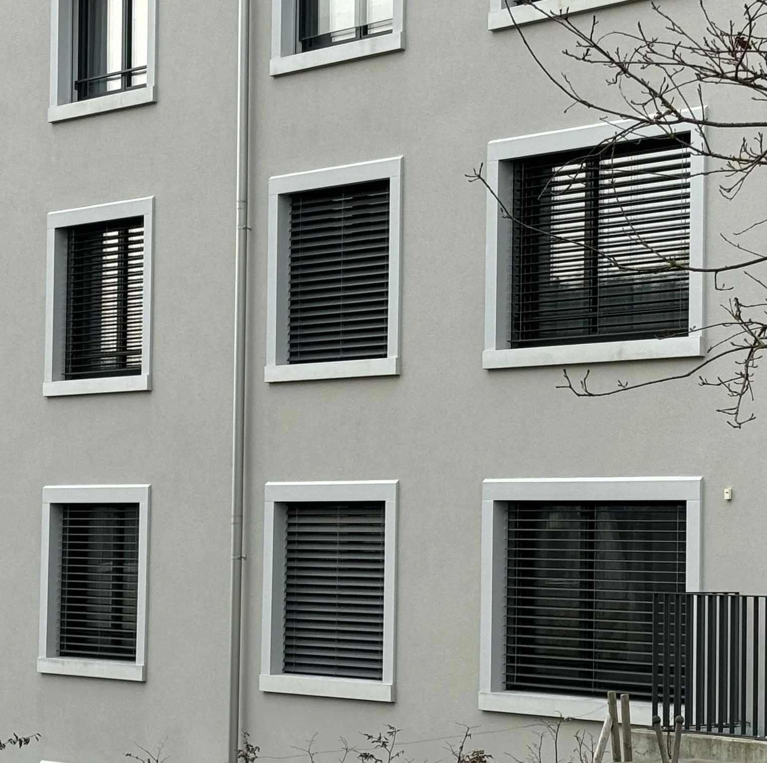 Fensterumrandung Fassade-min.jpg
