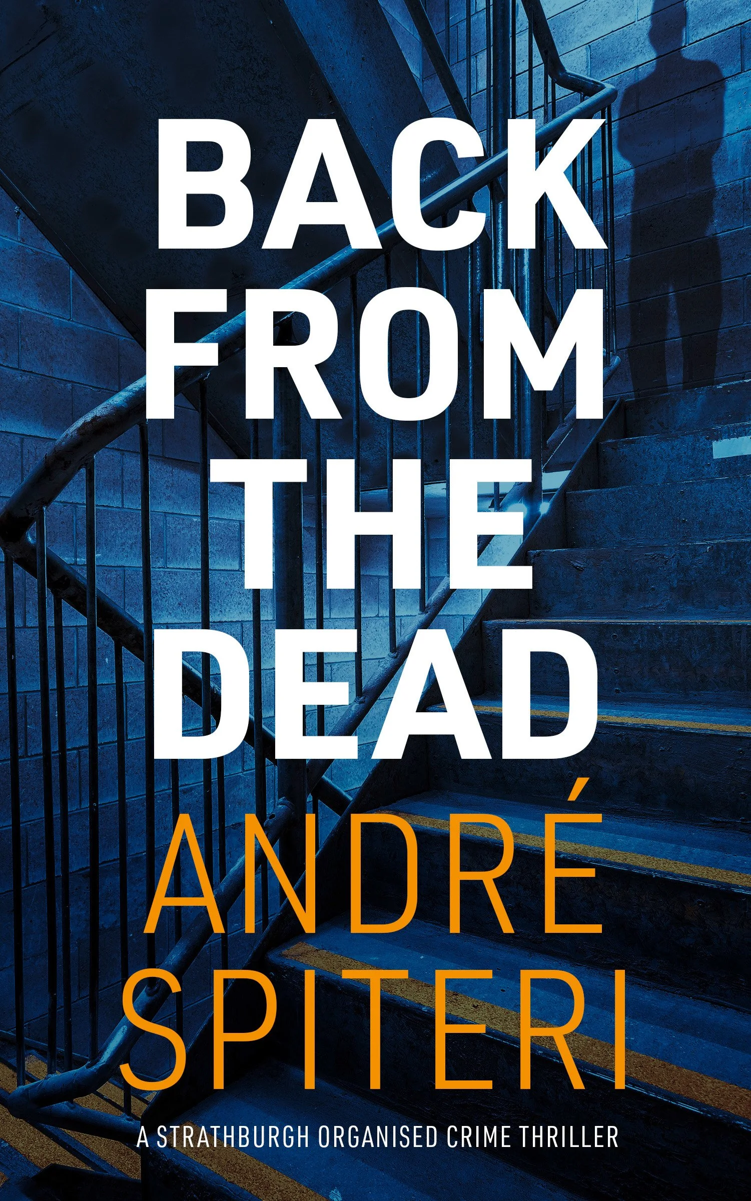 Back From the Dead PB Final ebook.jpg