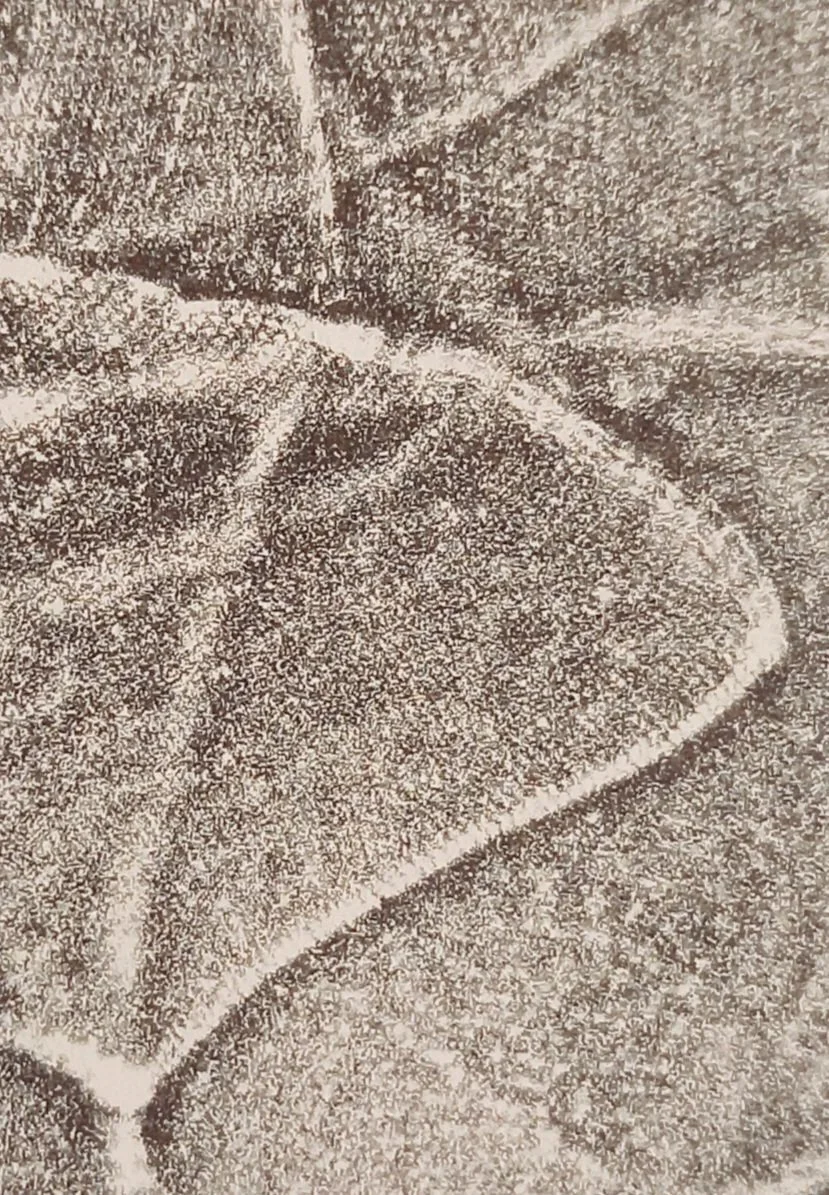 20251129_101840.jpg