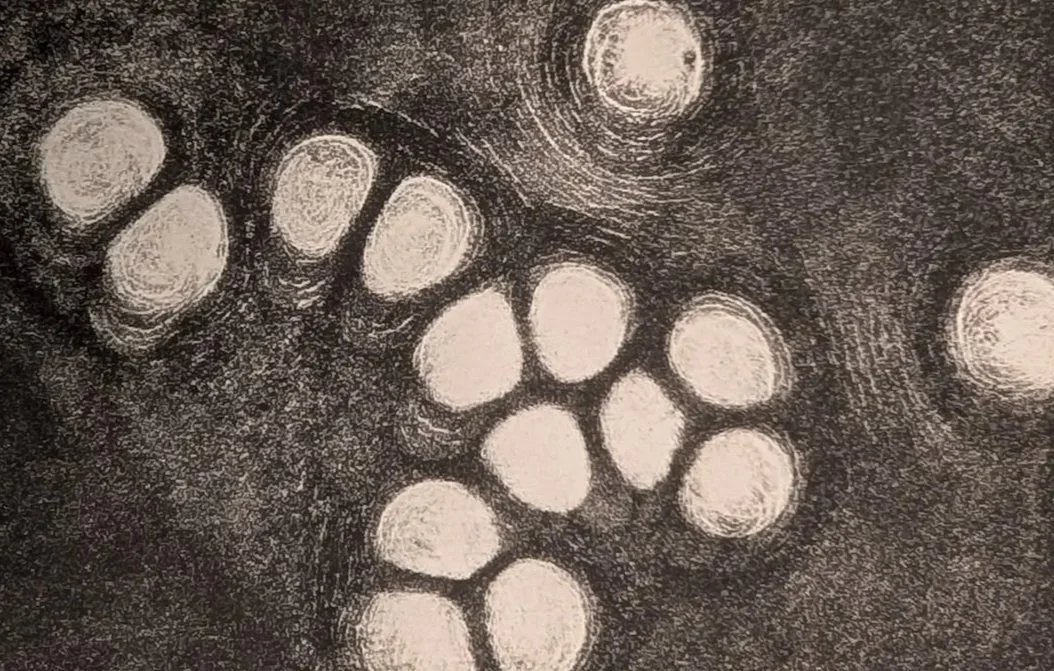 Cell Pop #3