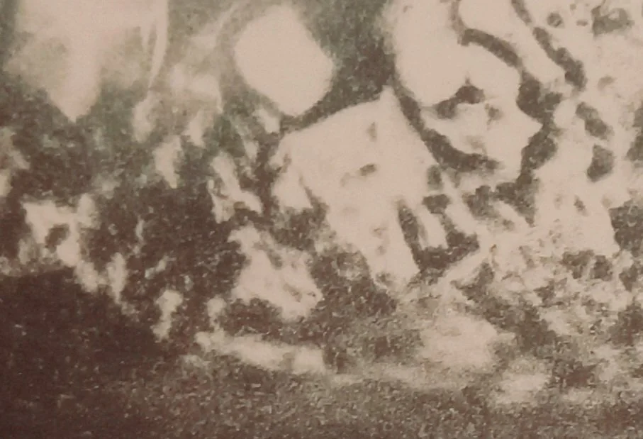20251129_110854.jpg
