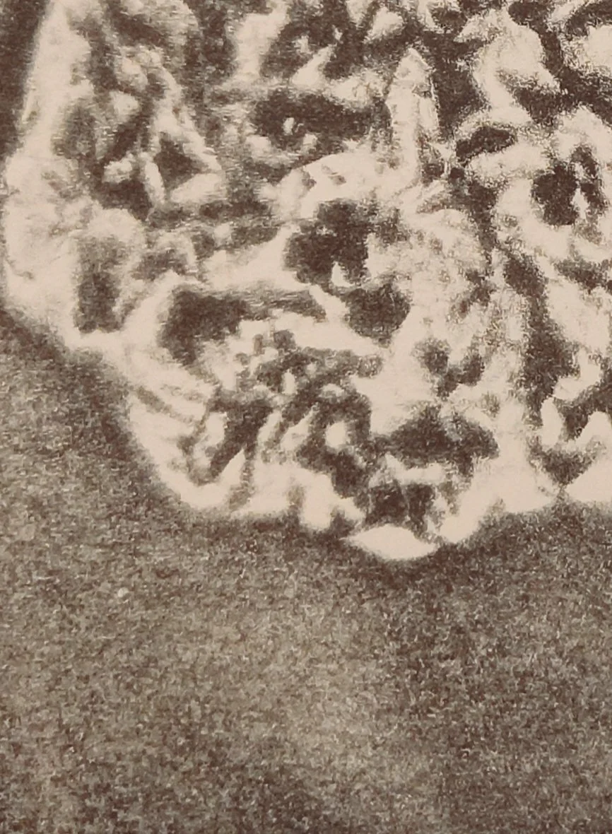 20251129_110610.jpg