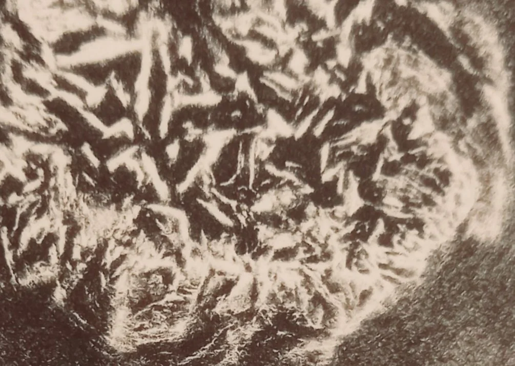 20251129_080949.jpg