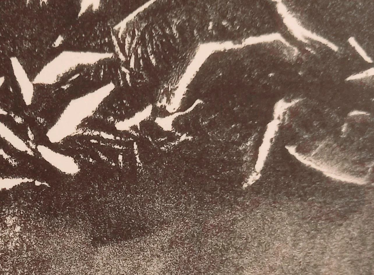 20251129_103610.jpg
