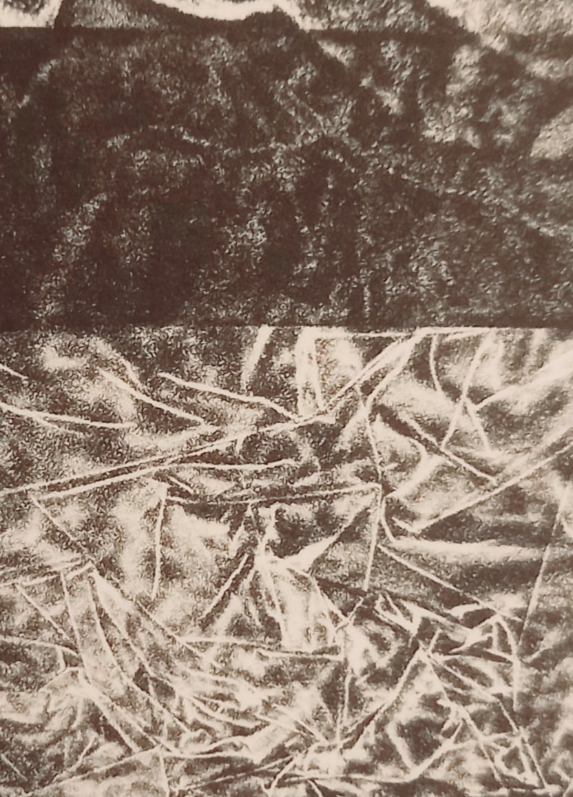 20251129_111838.jpg