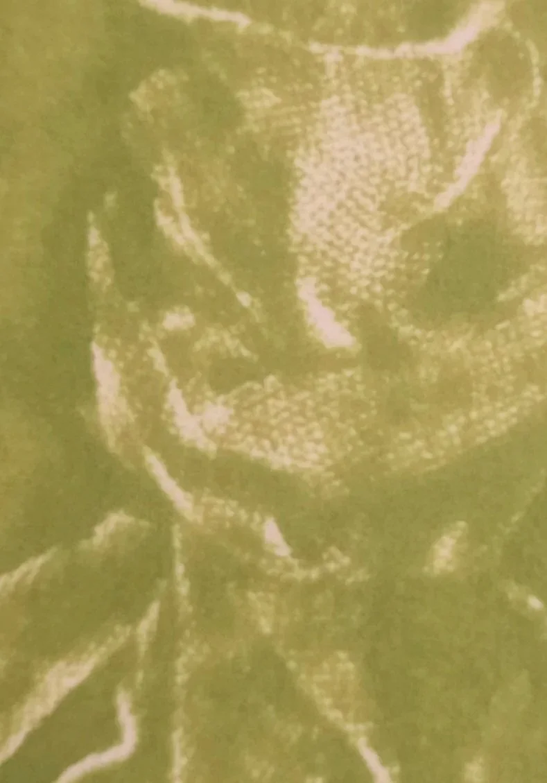 20251129_101423.jpg