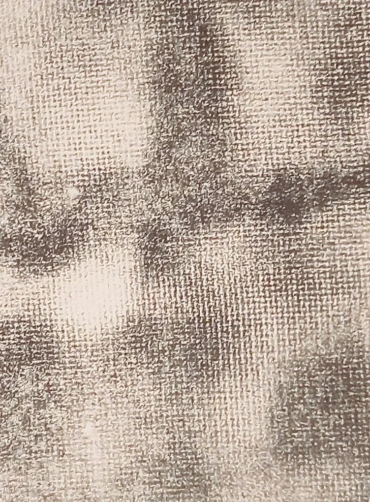 20251129_103117.jpg