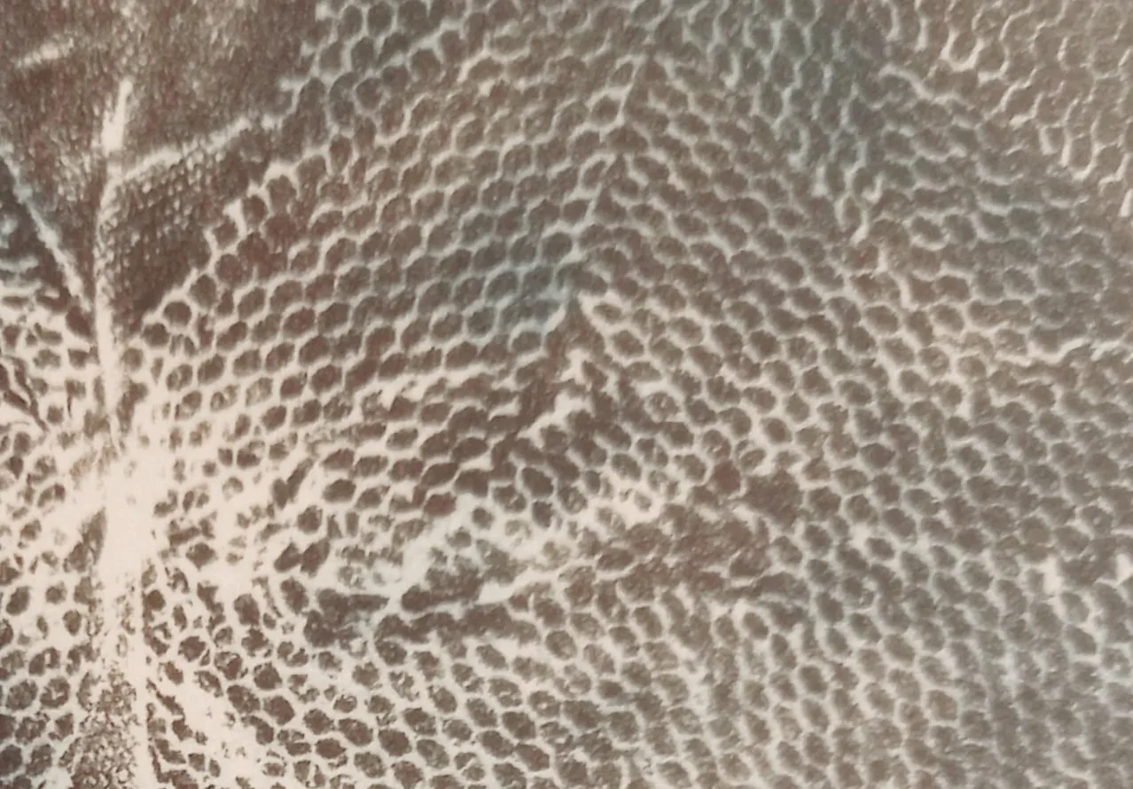 20251129_101644.jpg