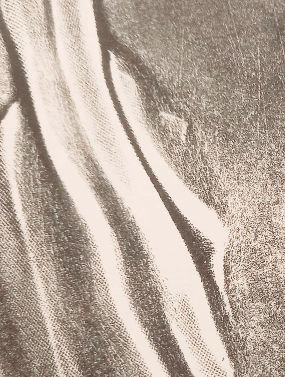 20251129_101926.jpg