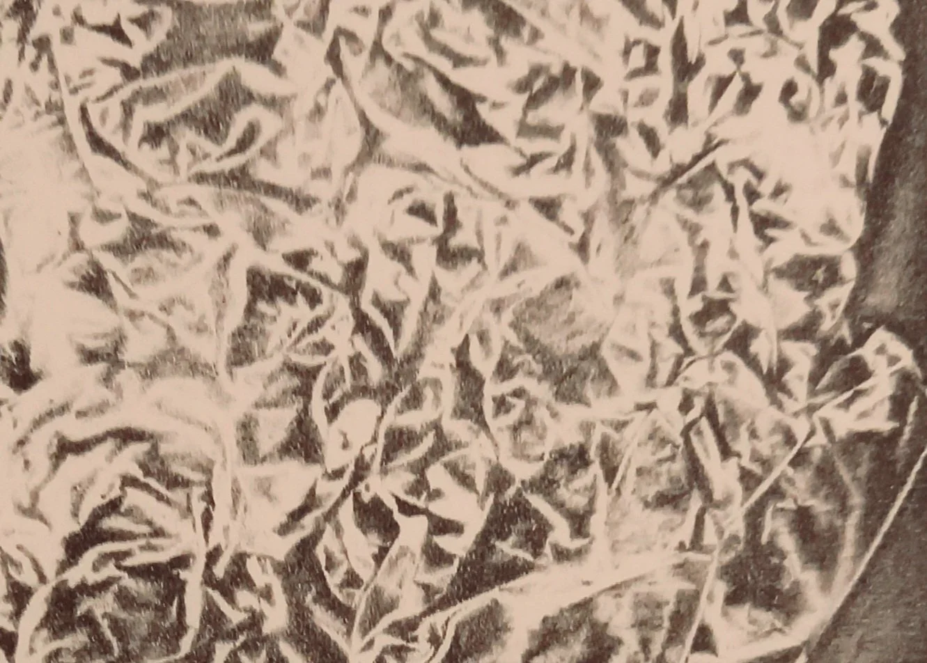 20251129_103712.jpg