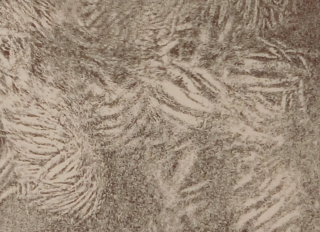 20251129_103415.jpg