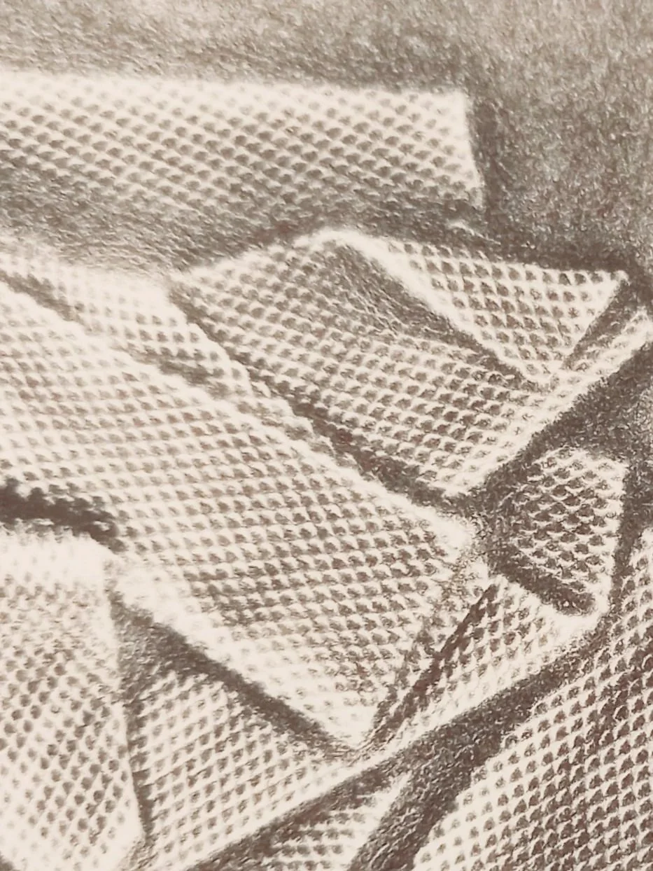 20251129_102326.jpg