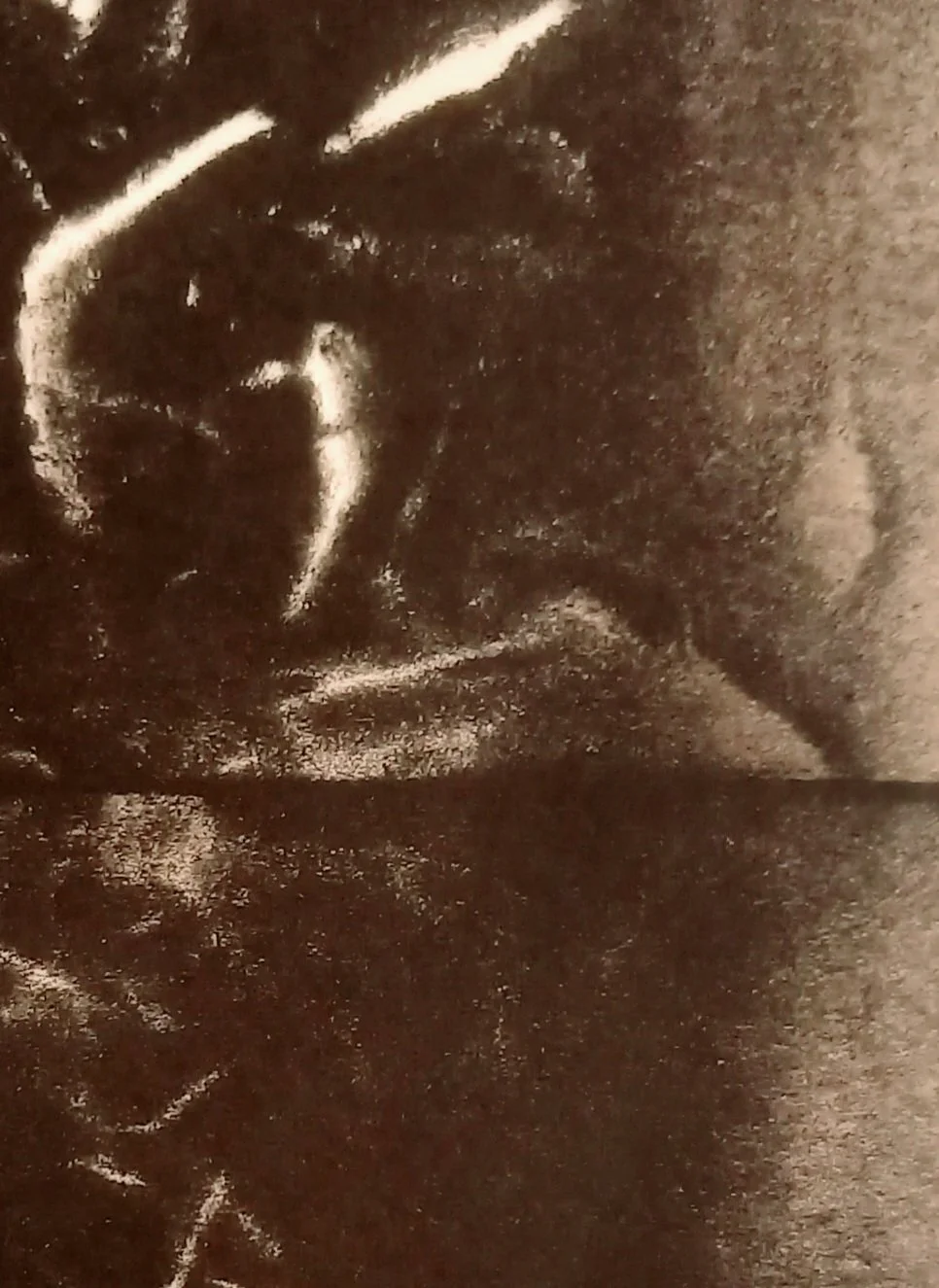 20251129_103333.jpg